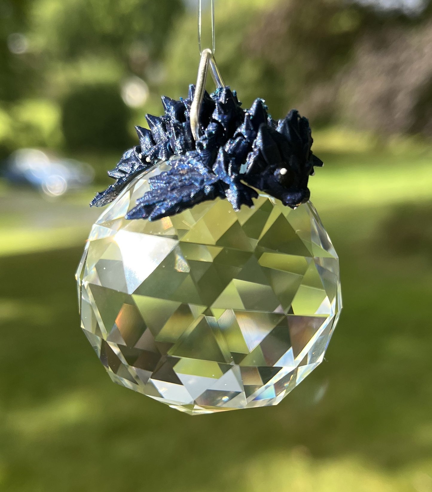 Baby Dragons